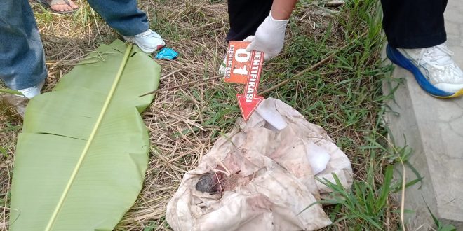 Warga Rengasdengklok Digegerkan Penemuan Bayi Tanpa Nyawa, Polisi Lakukan Olah TKP