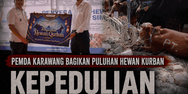 Pemda Karawang Bagikan Puluhan Hewan Kurban
