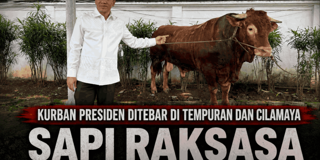 Sapi Presiden Seberat 1,2 Ton Dibagikan Bagi Warga Tak Mampu di Cilamaya dan Tempuran